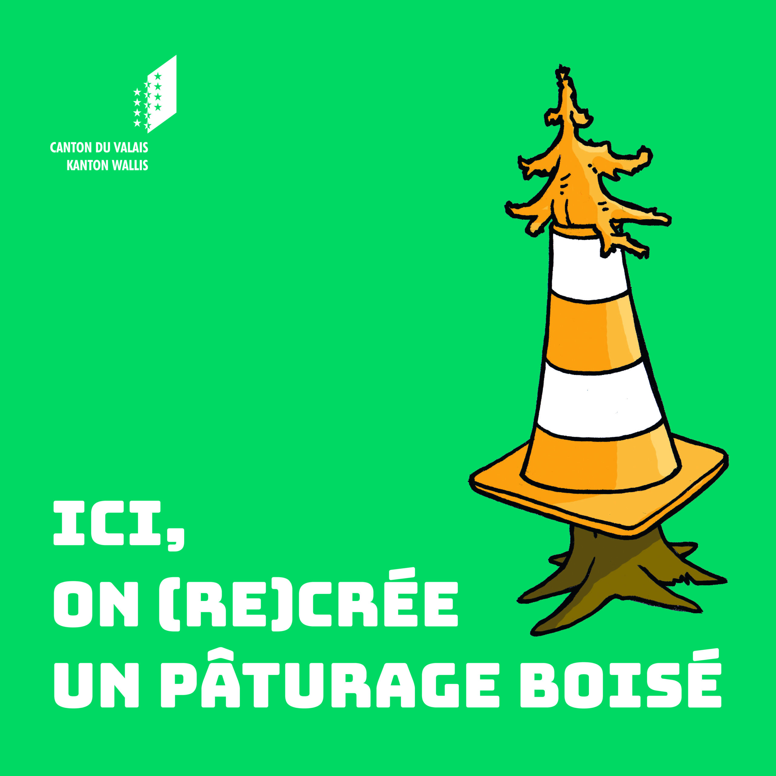 ici on recrée un paturage boisé